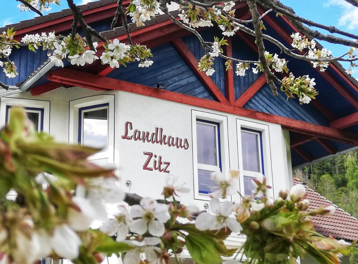Landhaus Zitz Ranten Dış mekan fotoğraf
